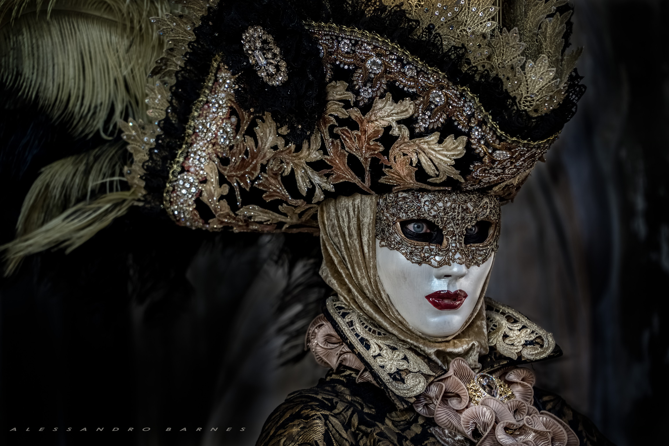 Carnival -Venice -