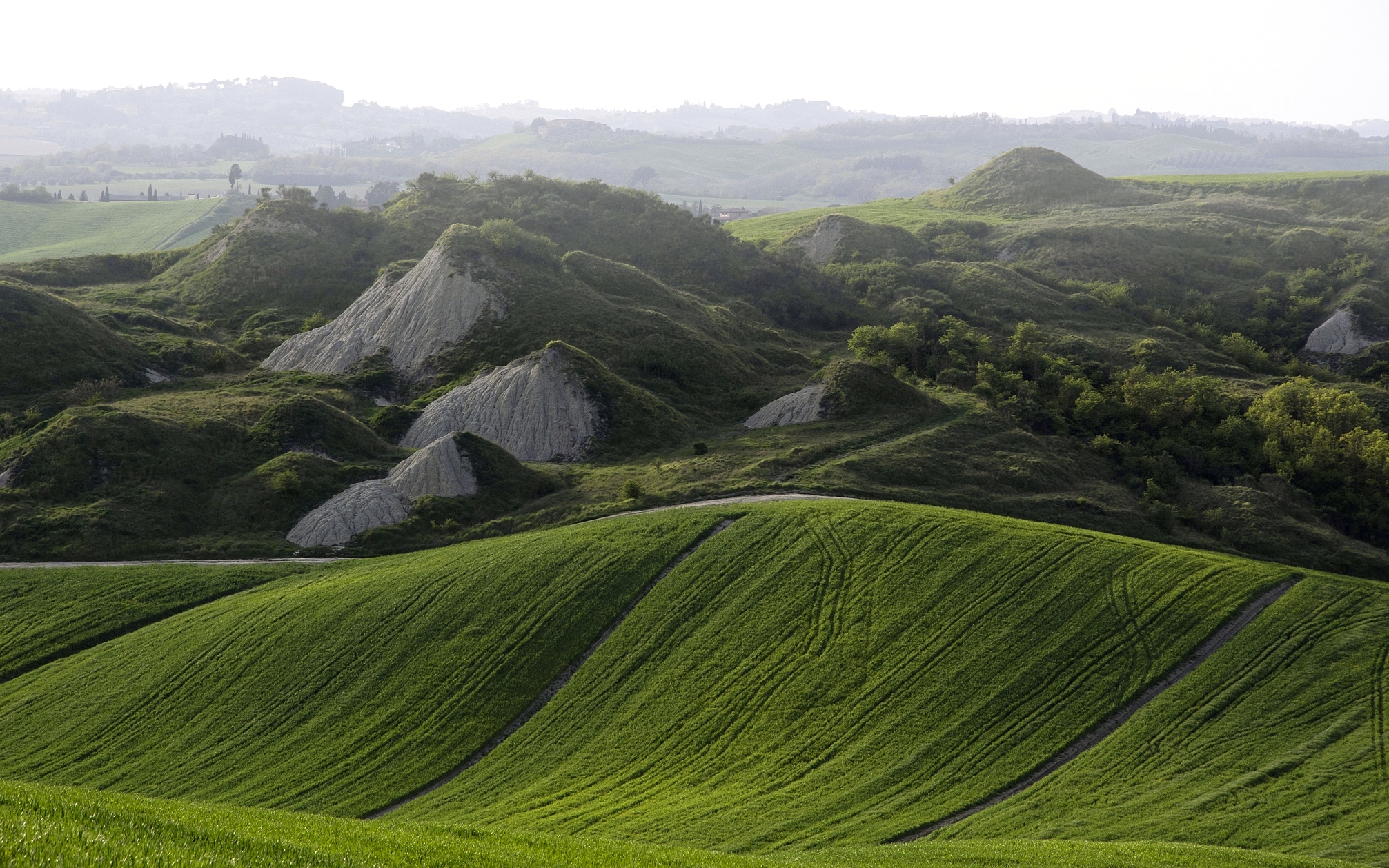 Crete Senesi