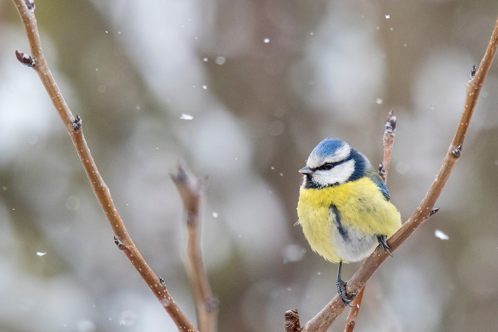 Face in the wind, we're riding the storm...