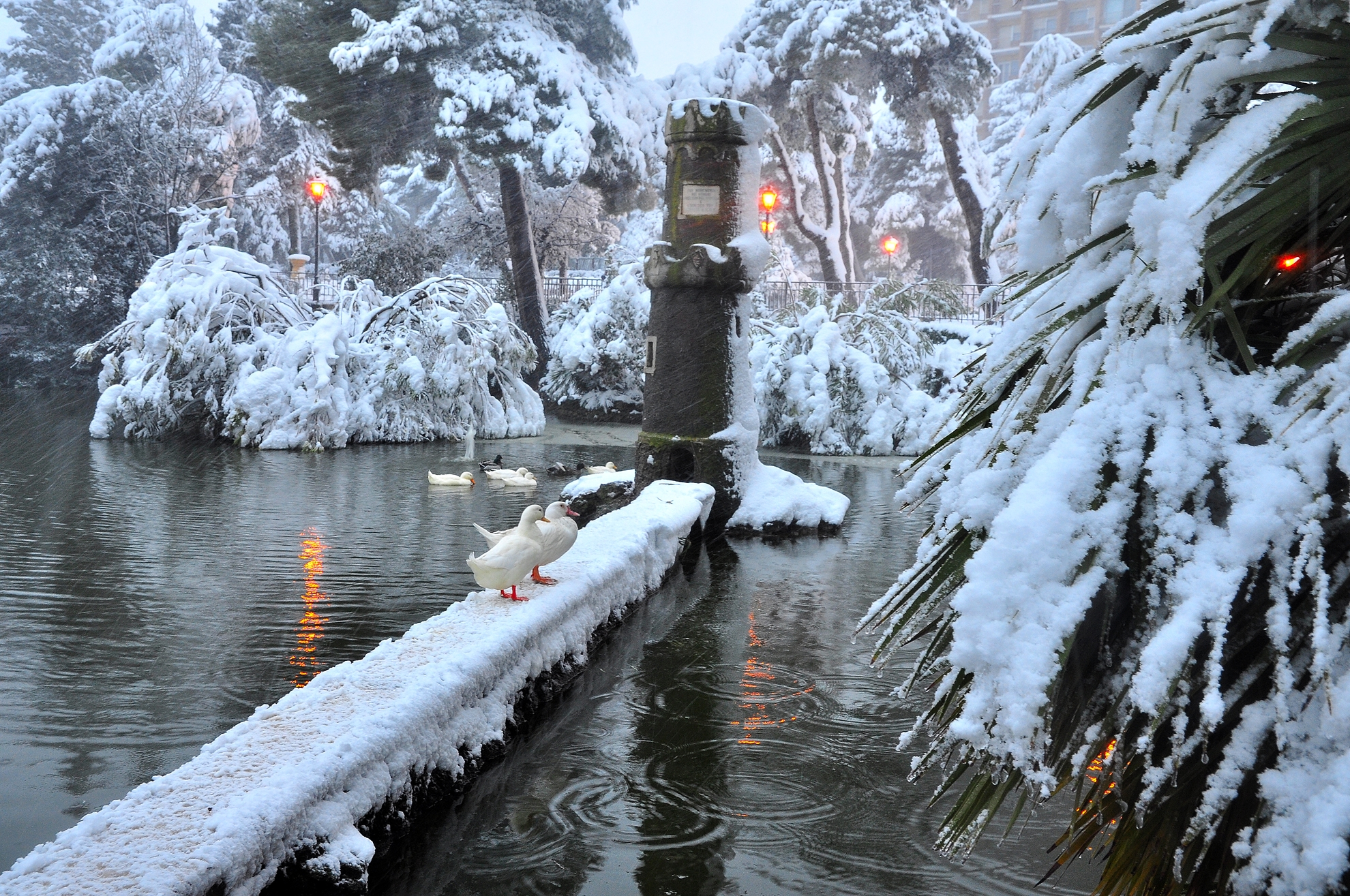 Throw yourself First!