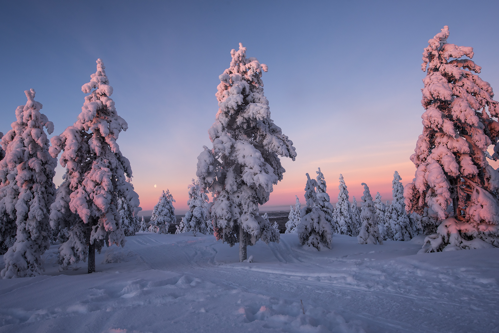 Che fai tu luna in ciel.....