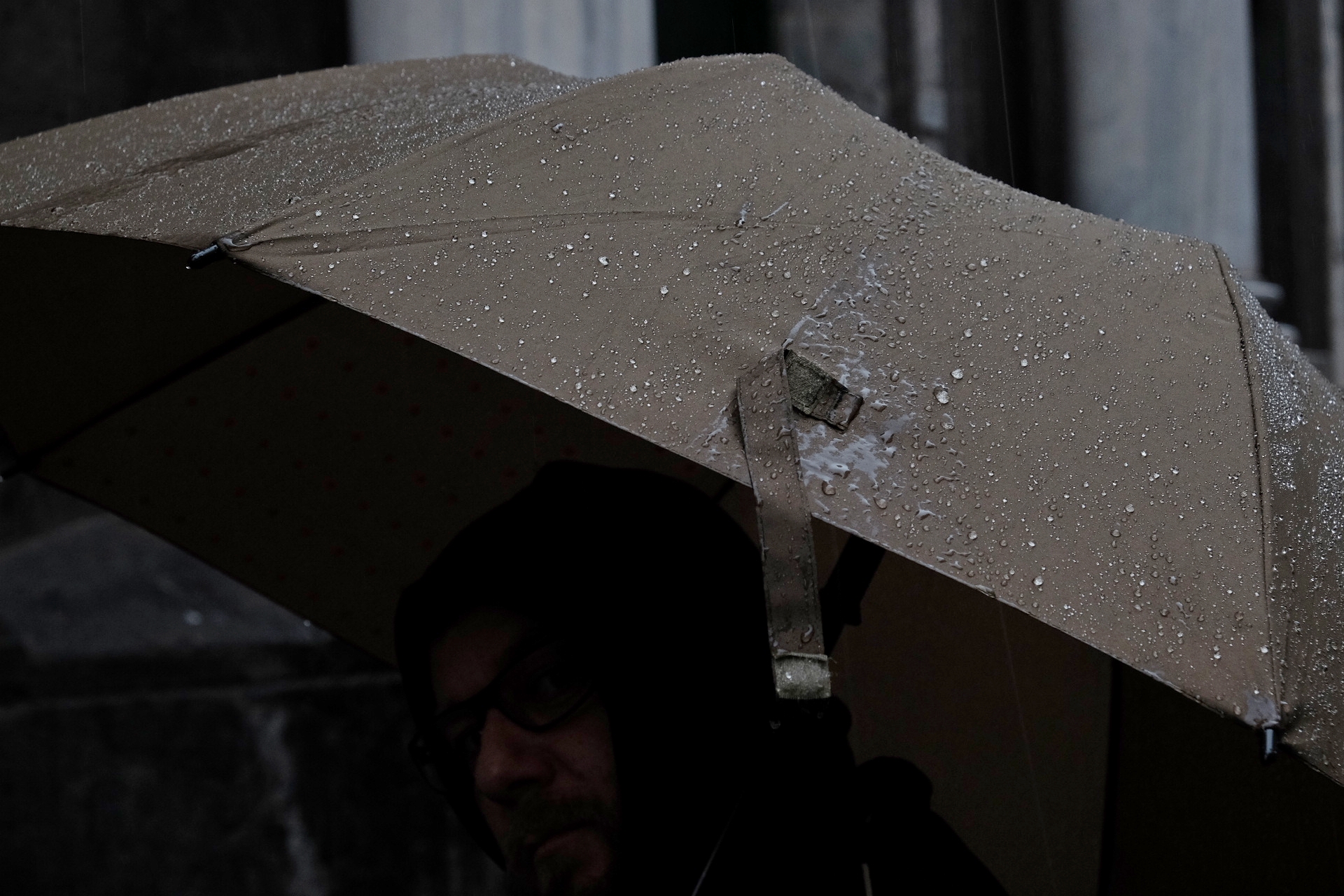 pioggia monocromatica