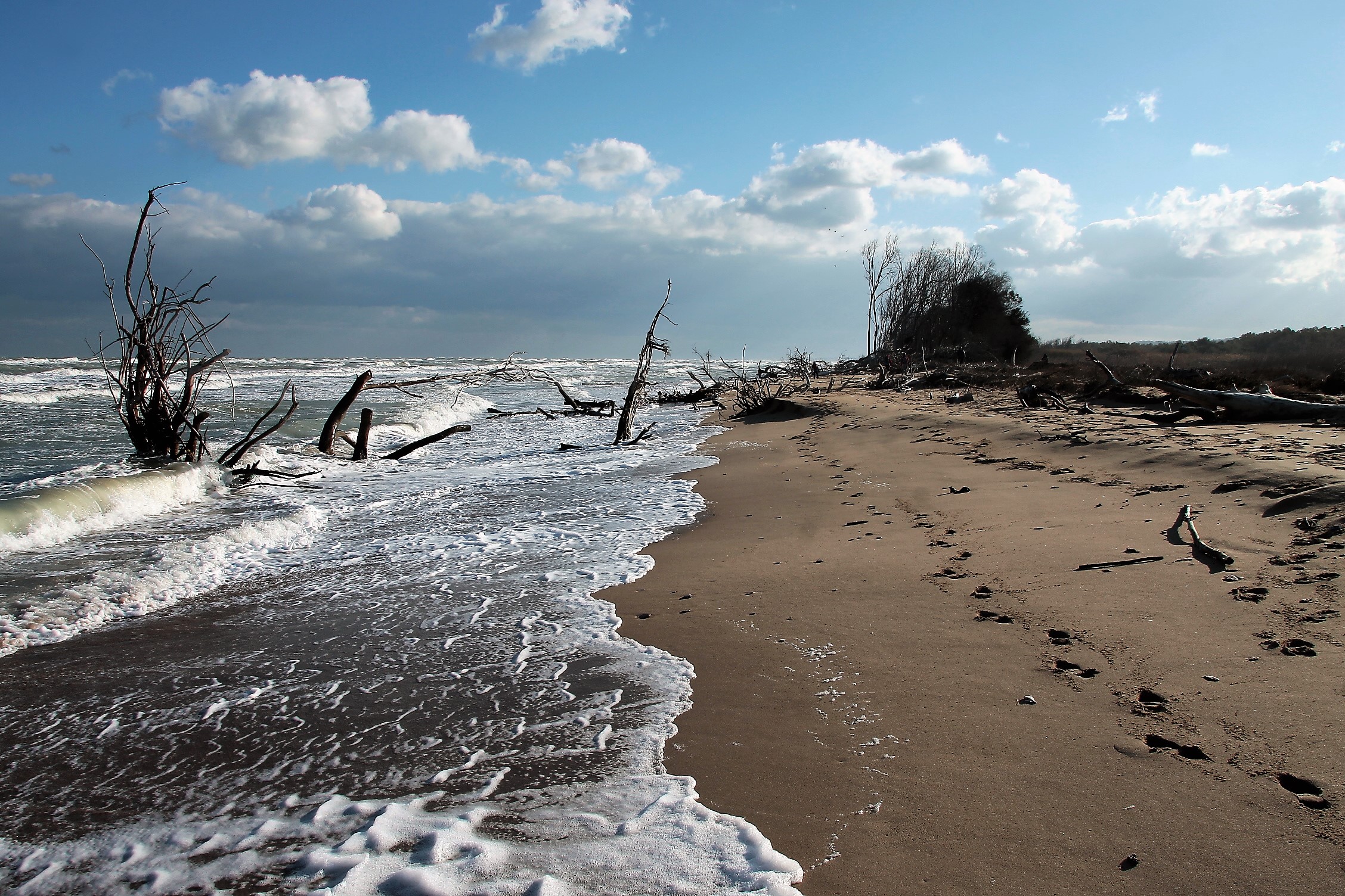 Maretta di fine d'anno