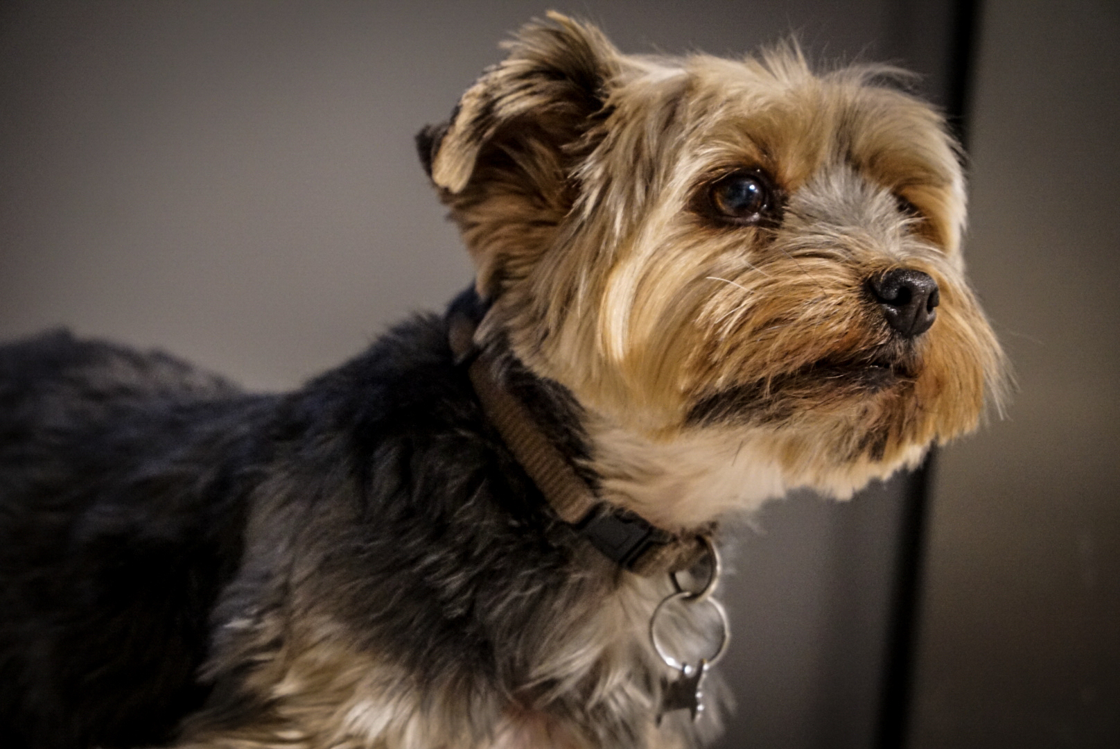 Waiting for the meal