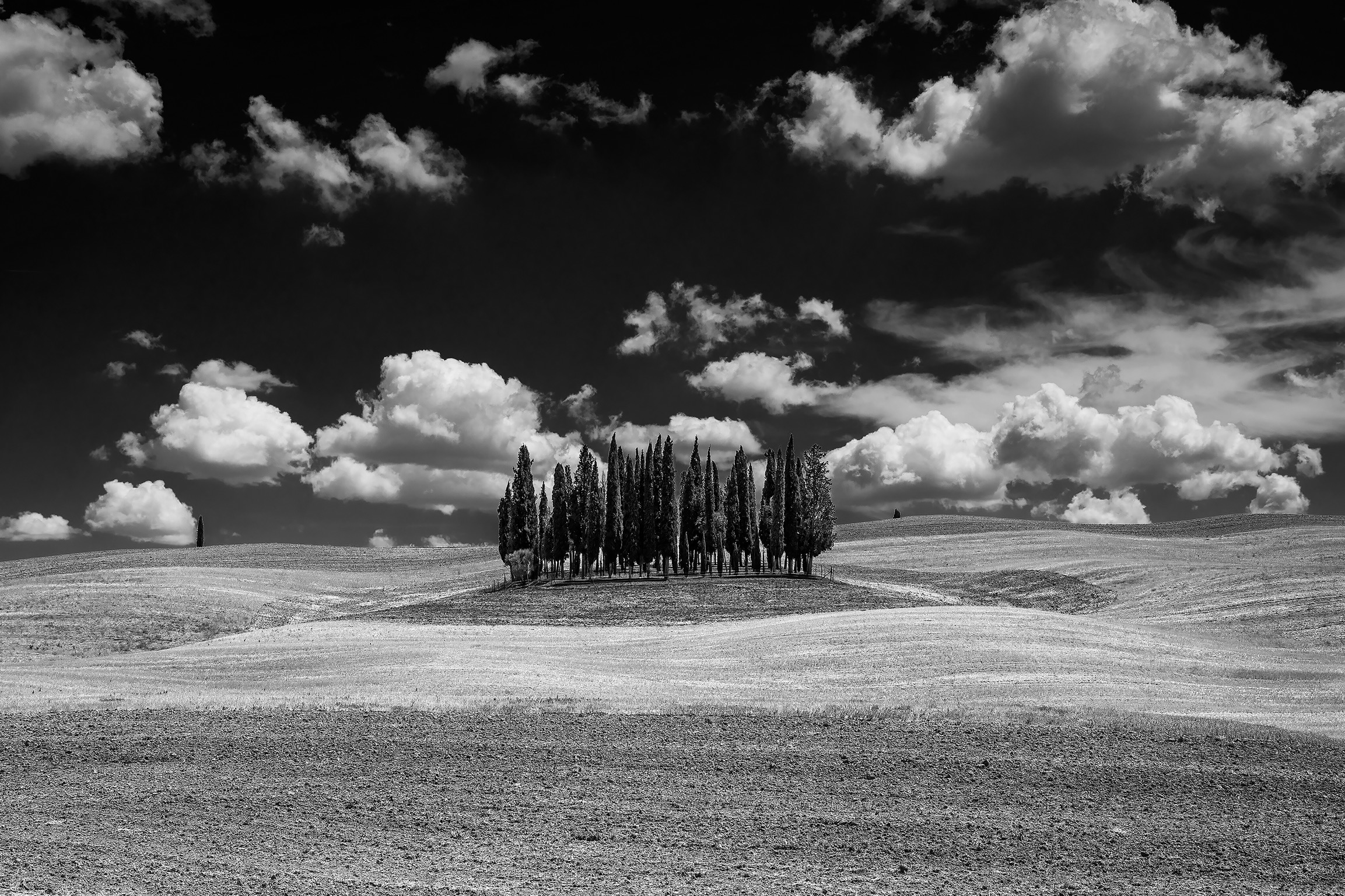 Cipressi val d'Orcia