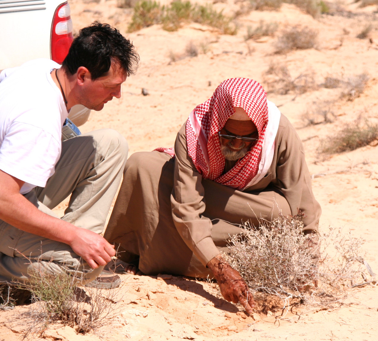 The Arabs show us the way