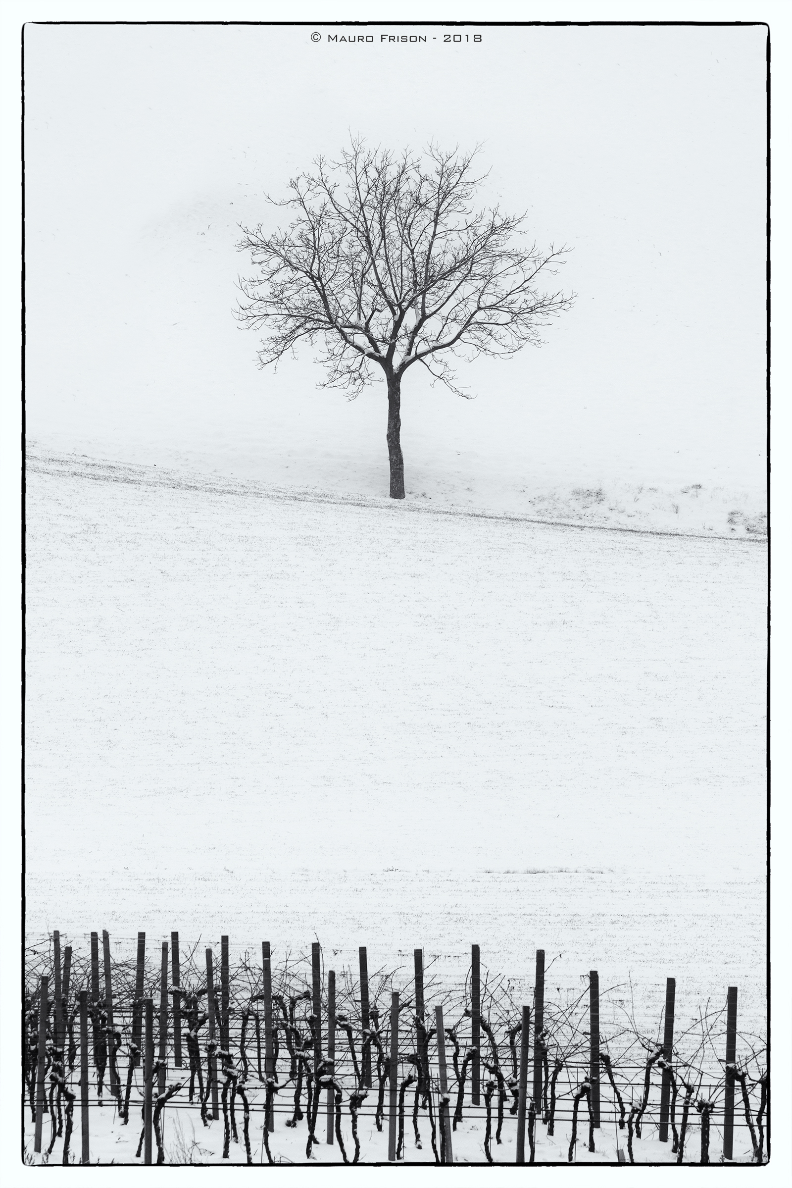 Il direttore d'orchestra