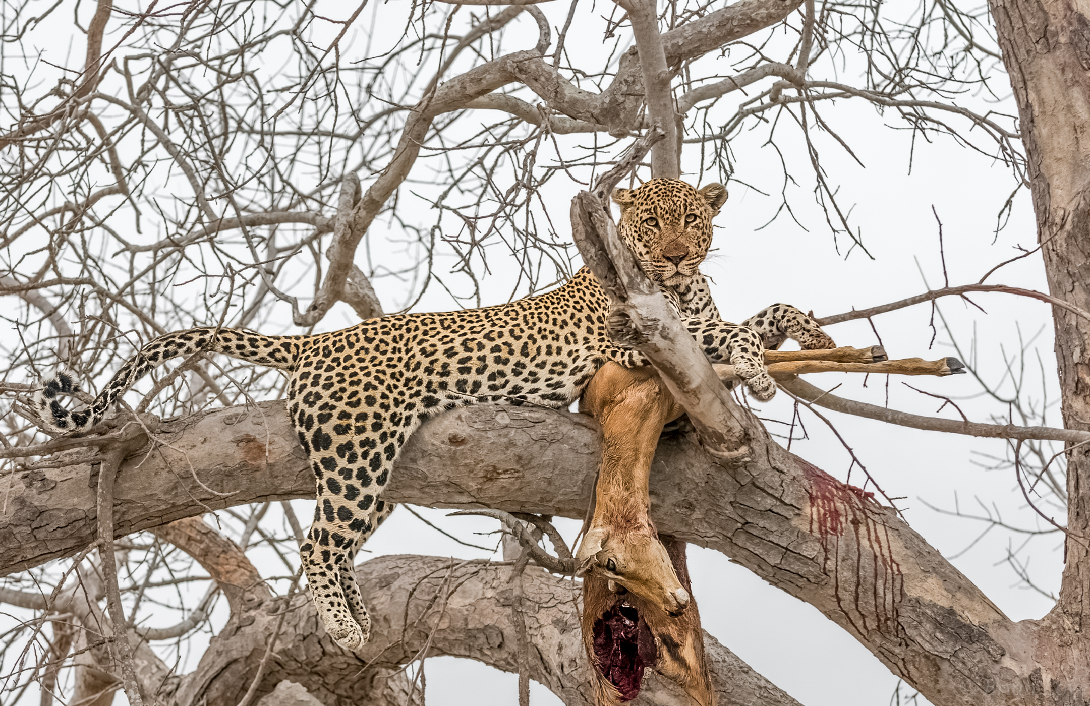 We used to be friends then I got hungry!