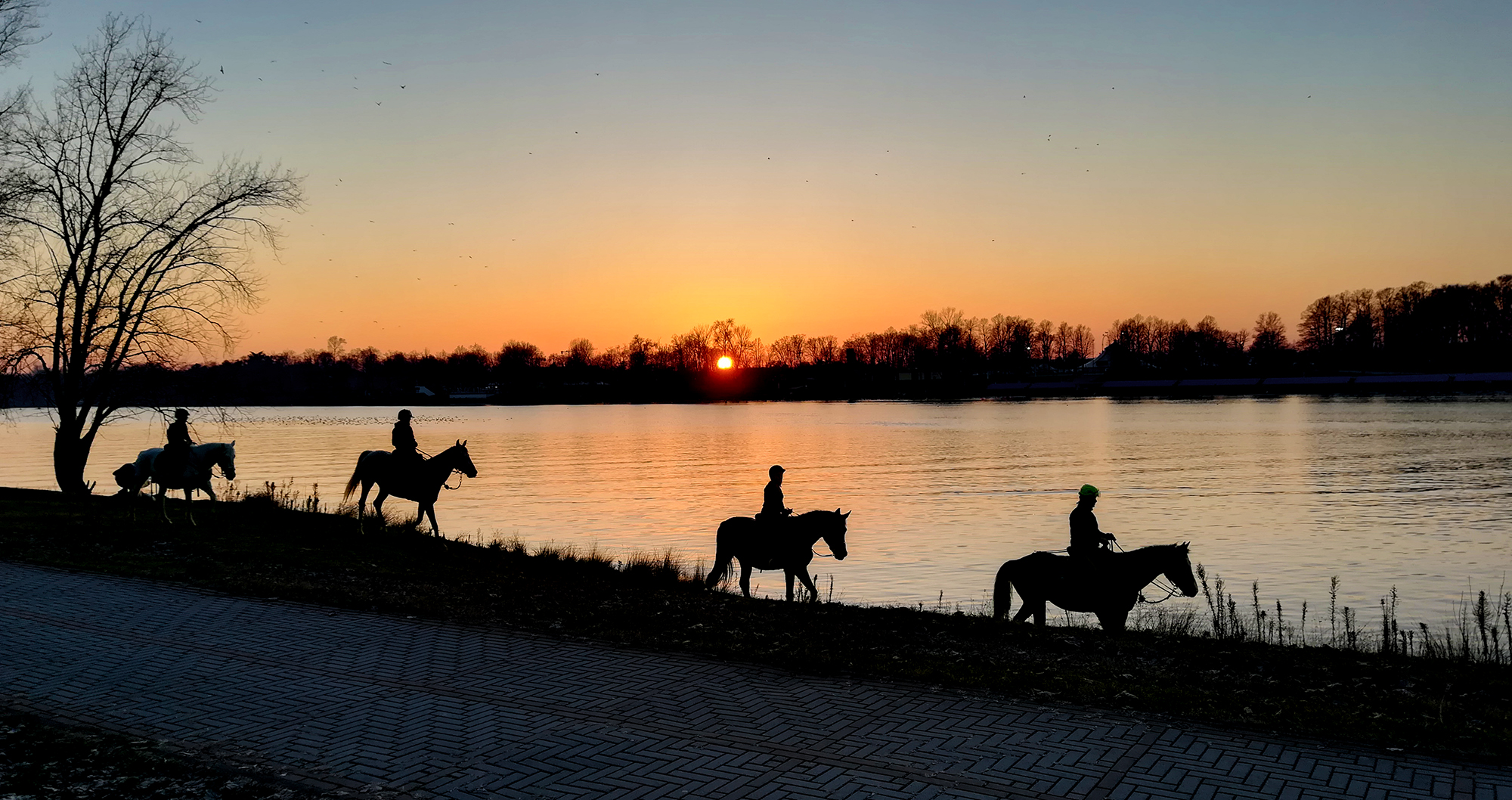 A cavallo all'Idroscalo