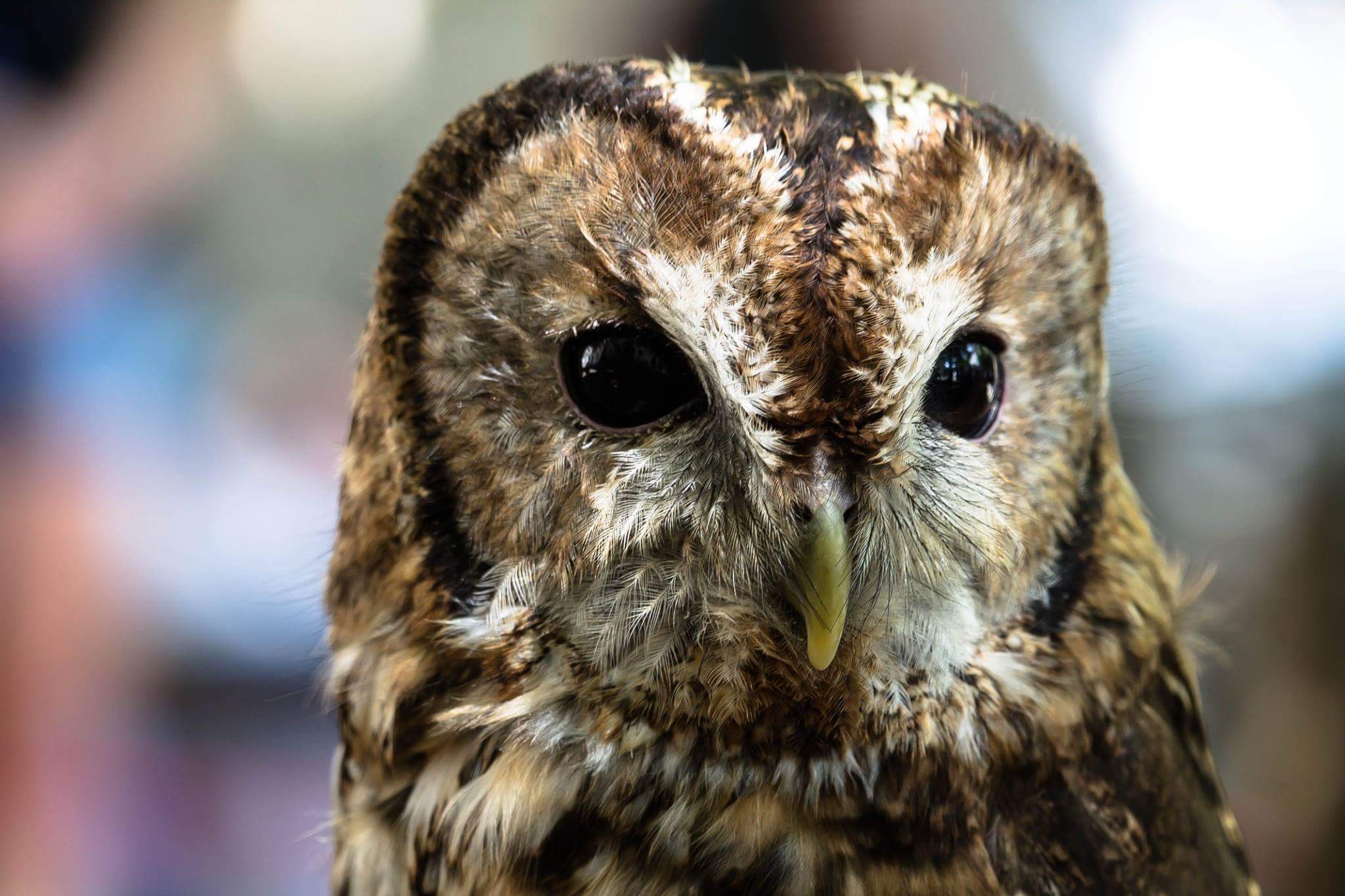 I'm watching you ...