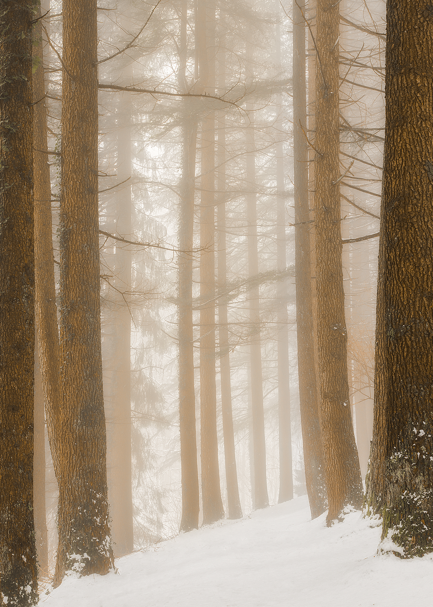 Like in a fairy tale.