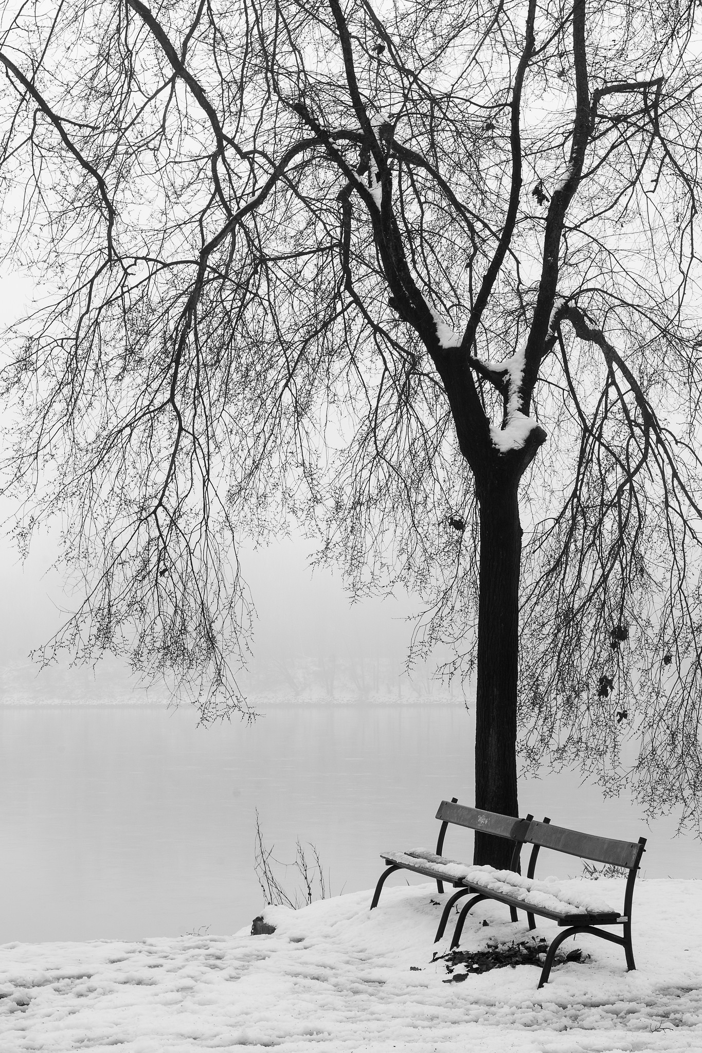 Bench in winter