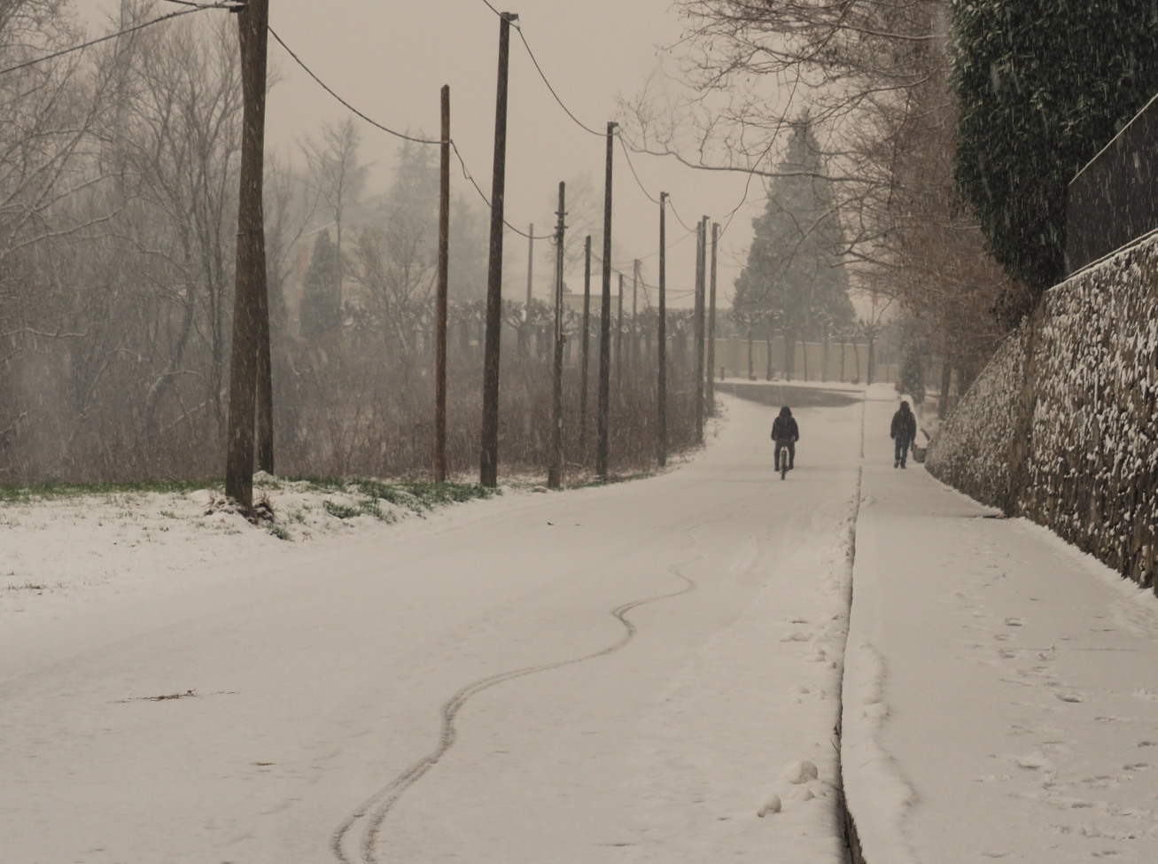 under the snow of ... March