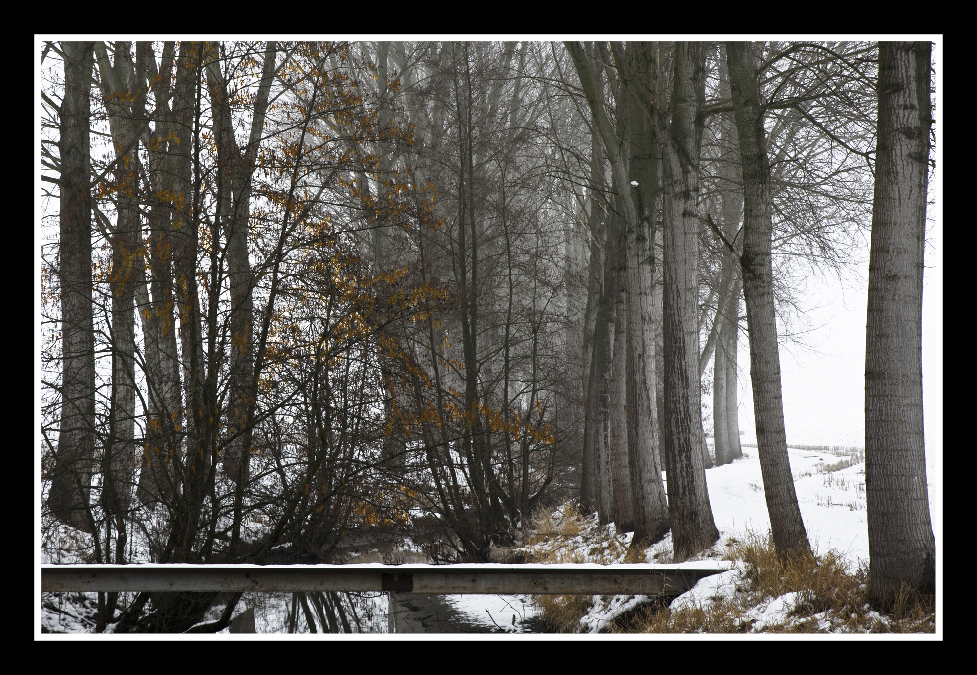 tour in the countryside in Pavia