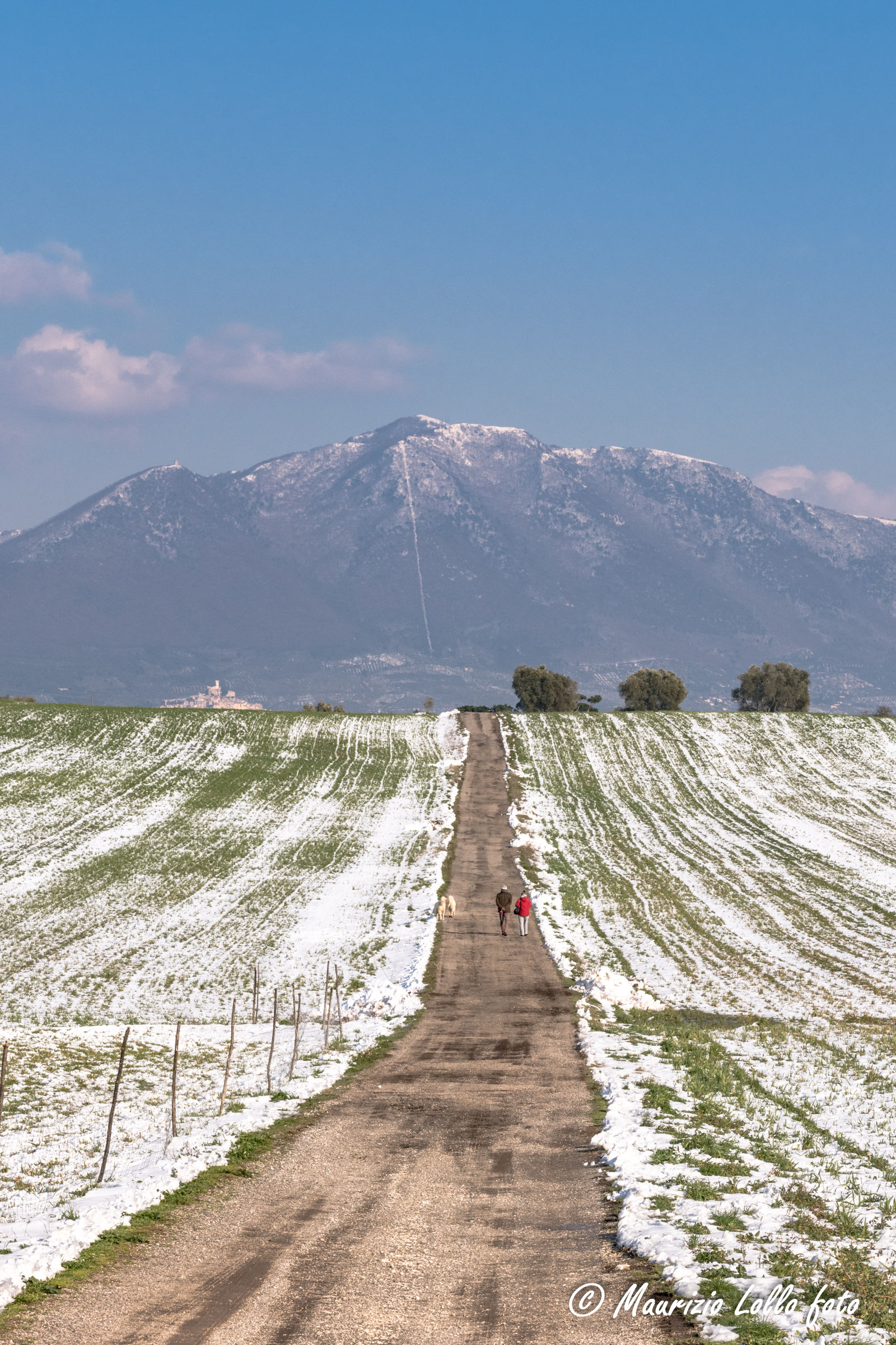 let's go to the mountain ....