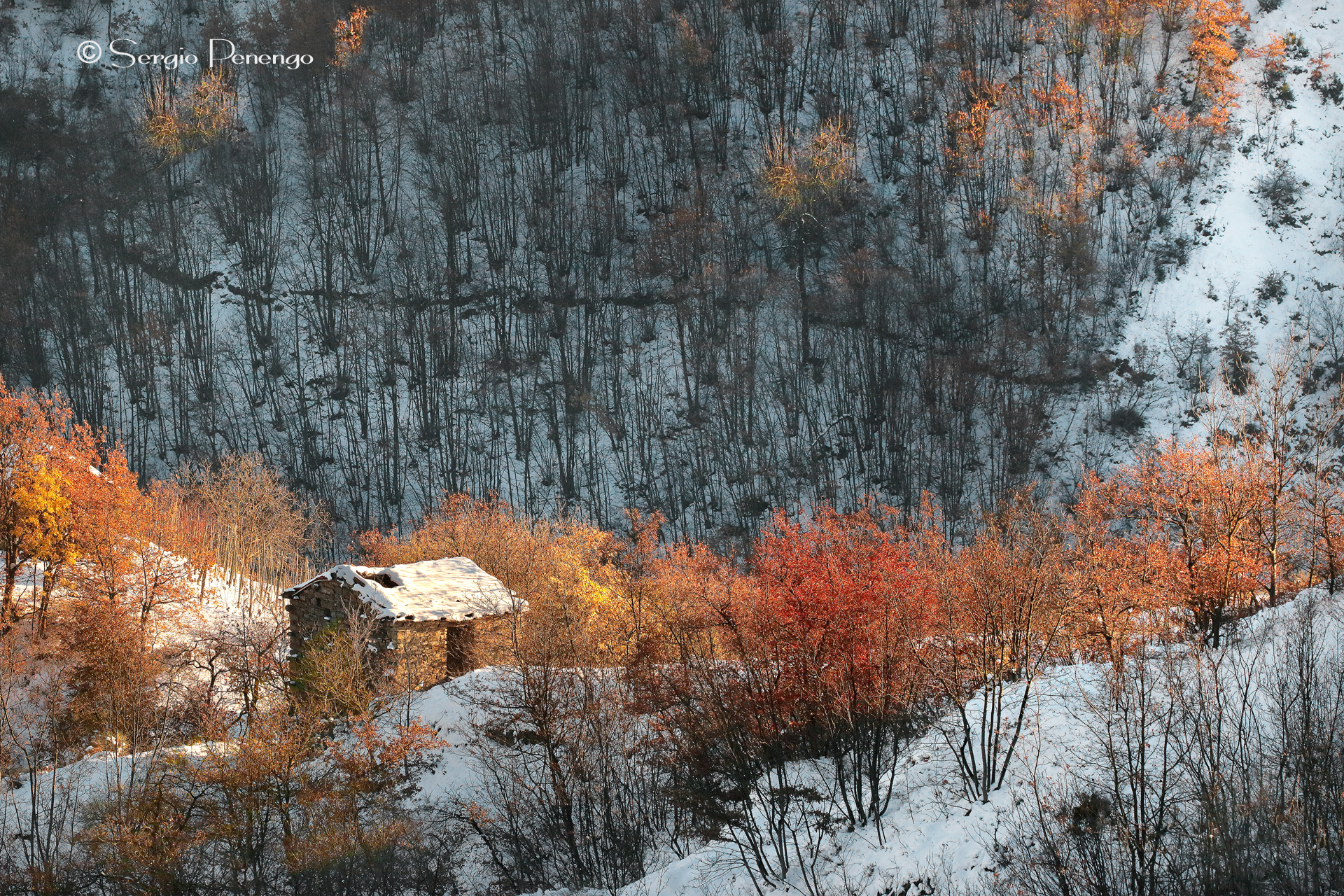 Between Autumn and Winter