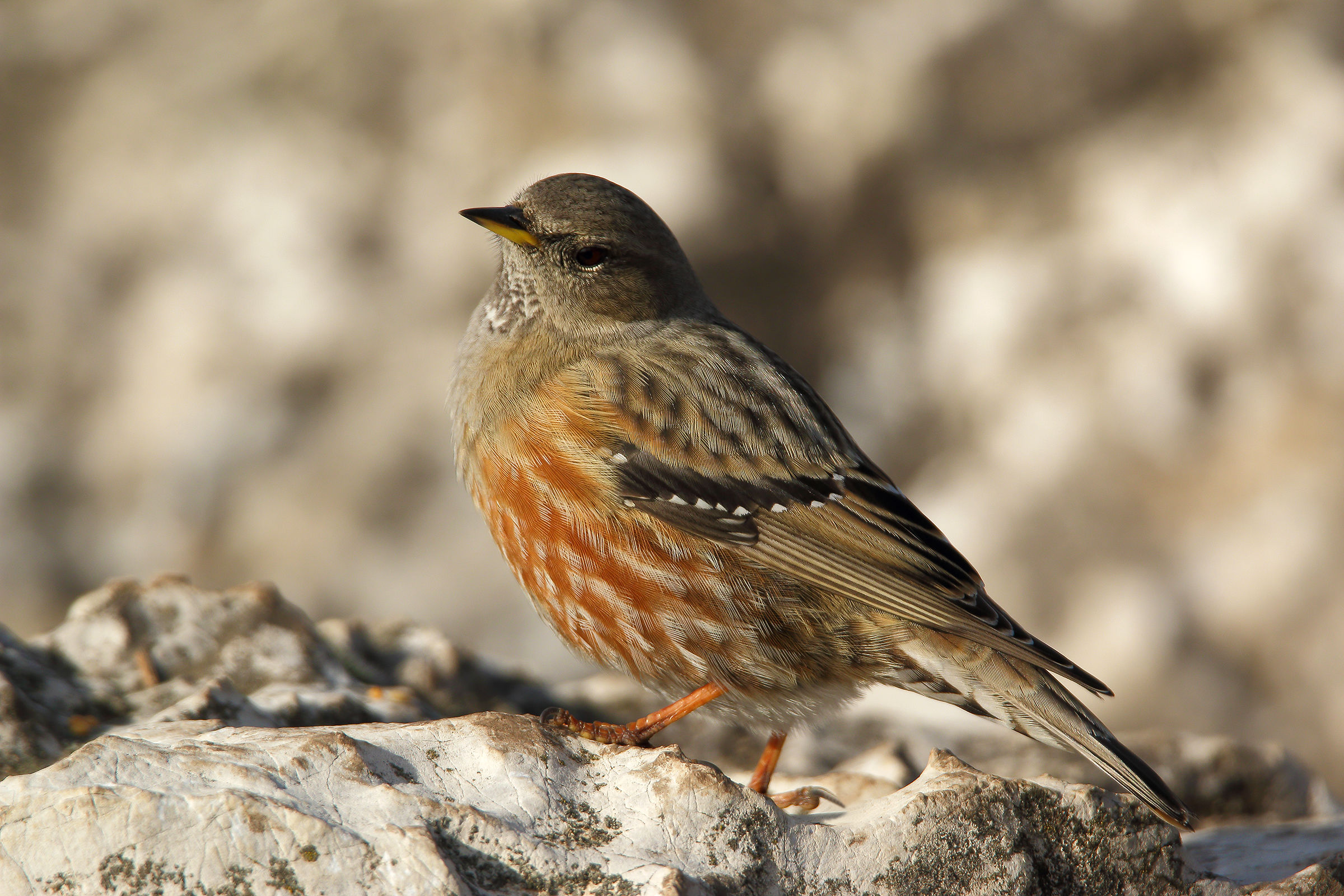 does the pose go well ...?