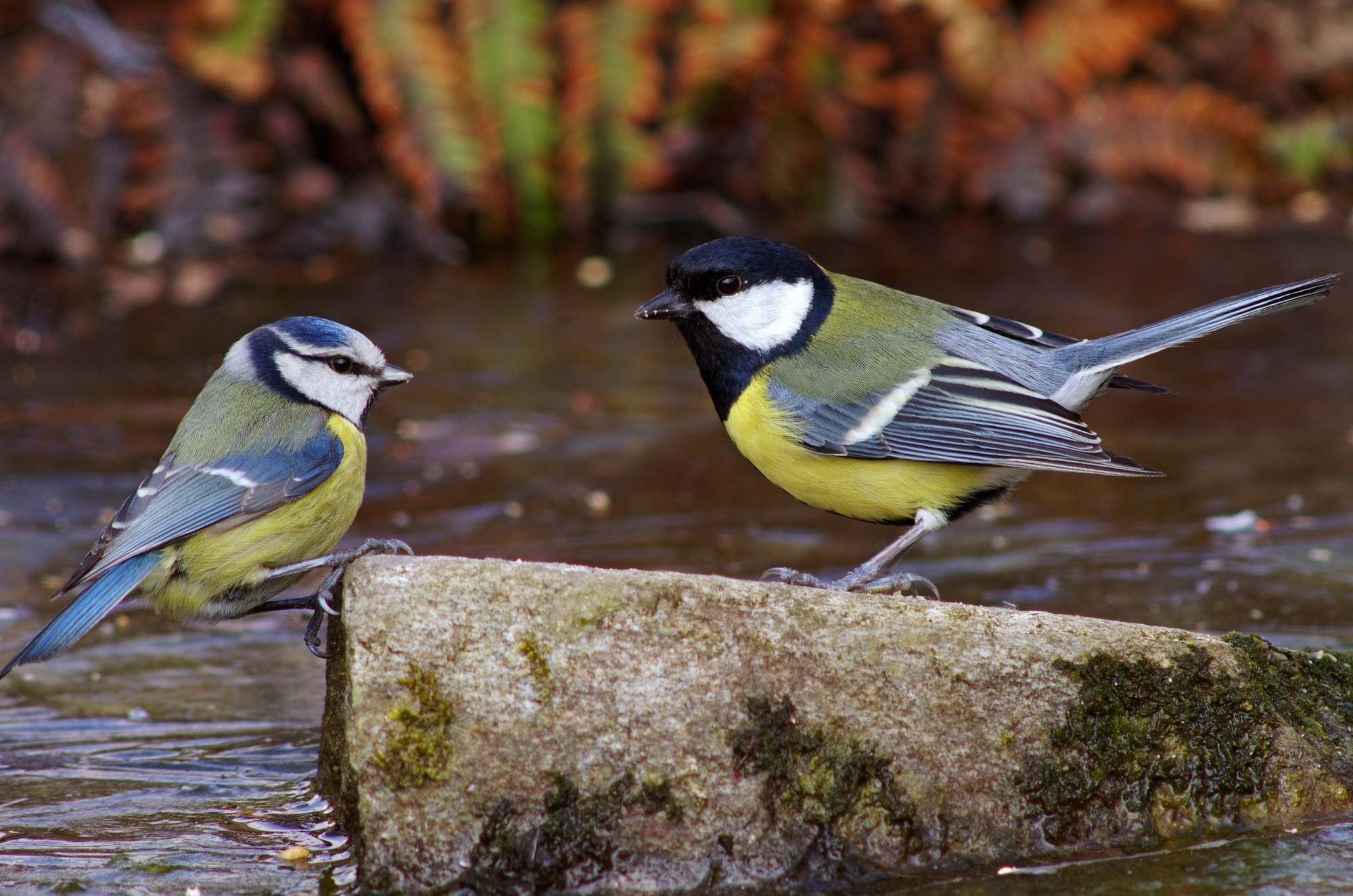 Mantenere le posizioni