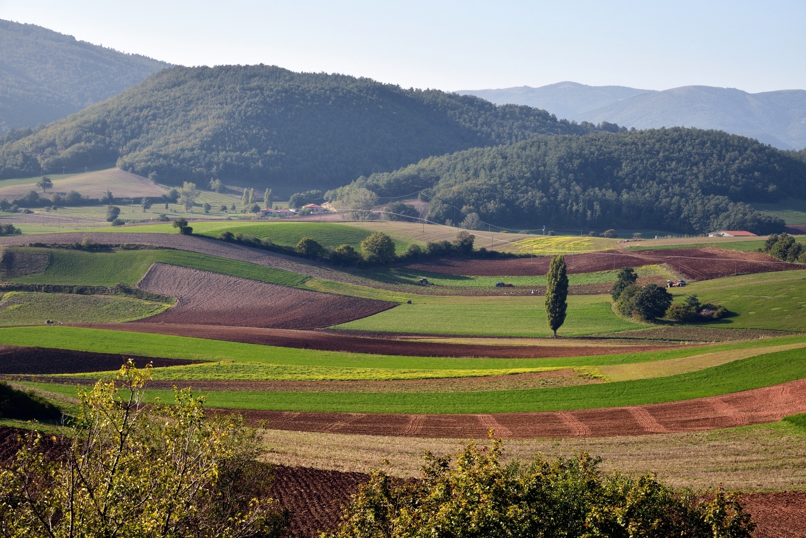 L'altopiano di Colfiorito