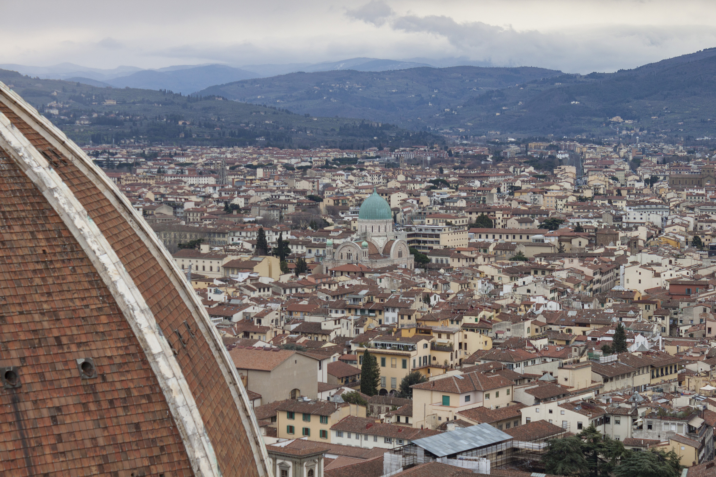 Panoramica dalla torre