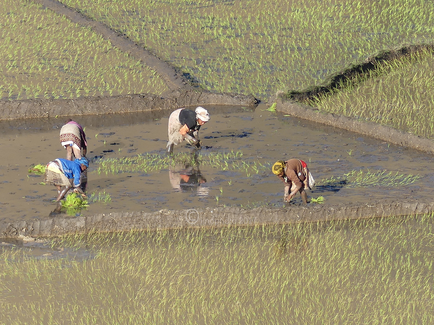 Un'altra dura giornata......