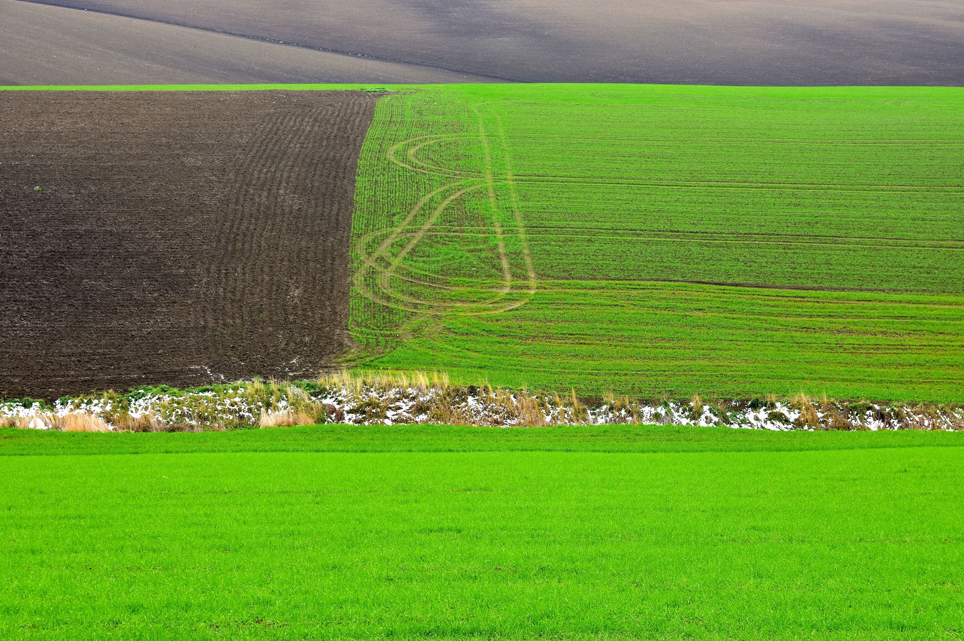 Disegni nel Grano - ante -