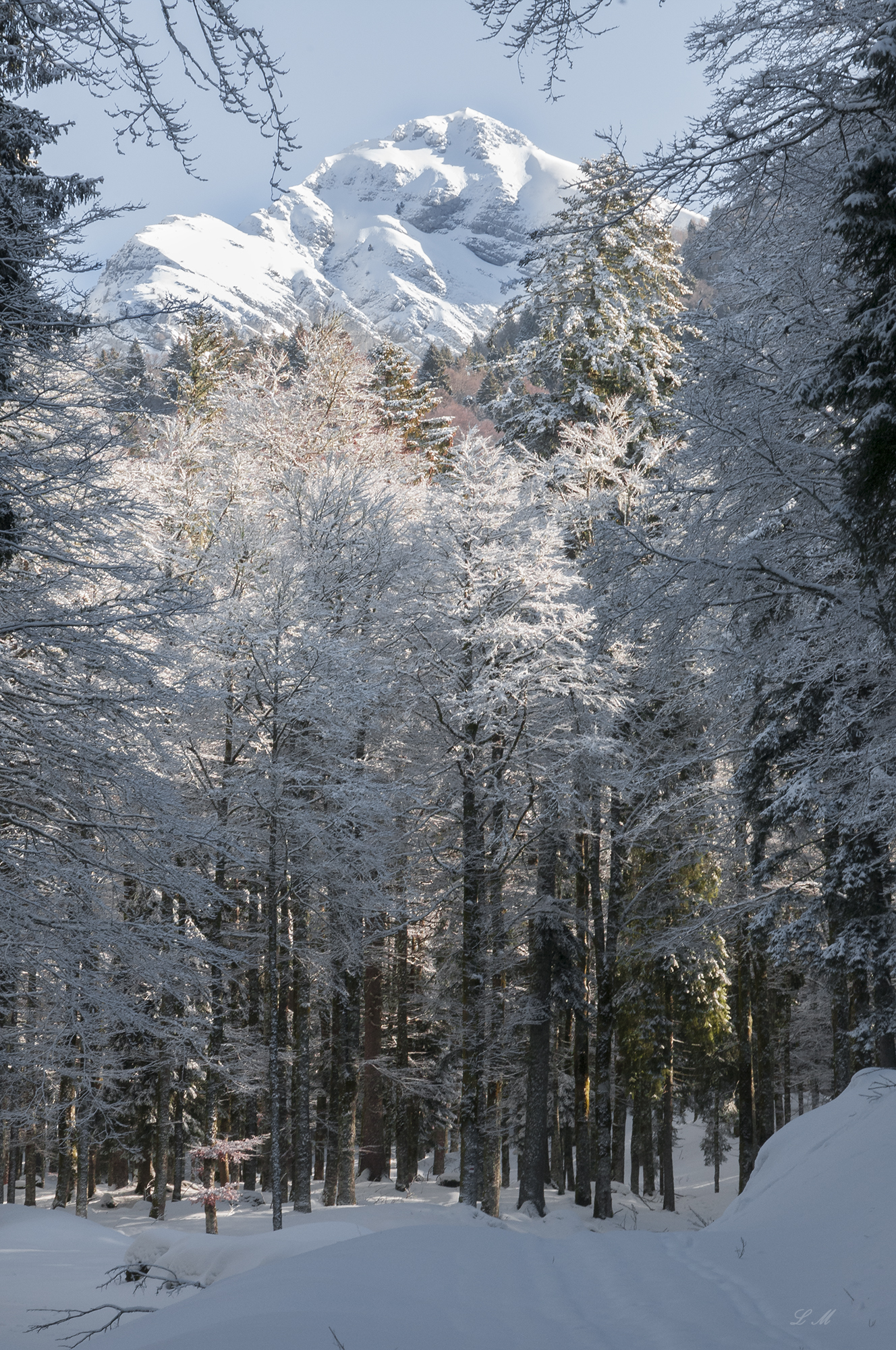 verso il monte cavallo