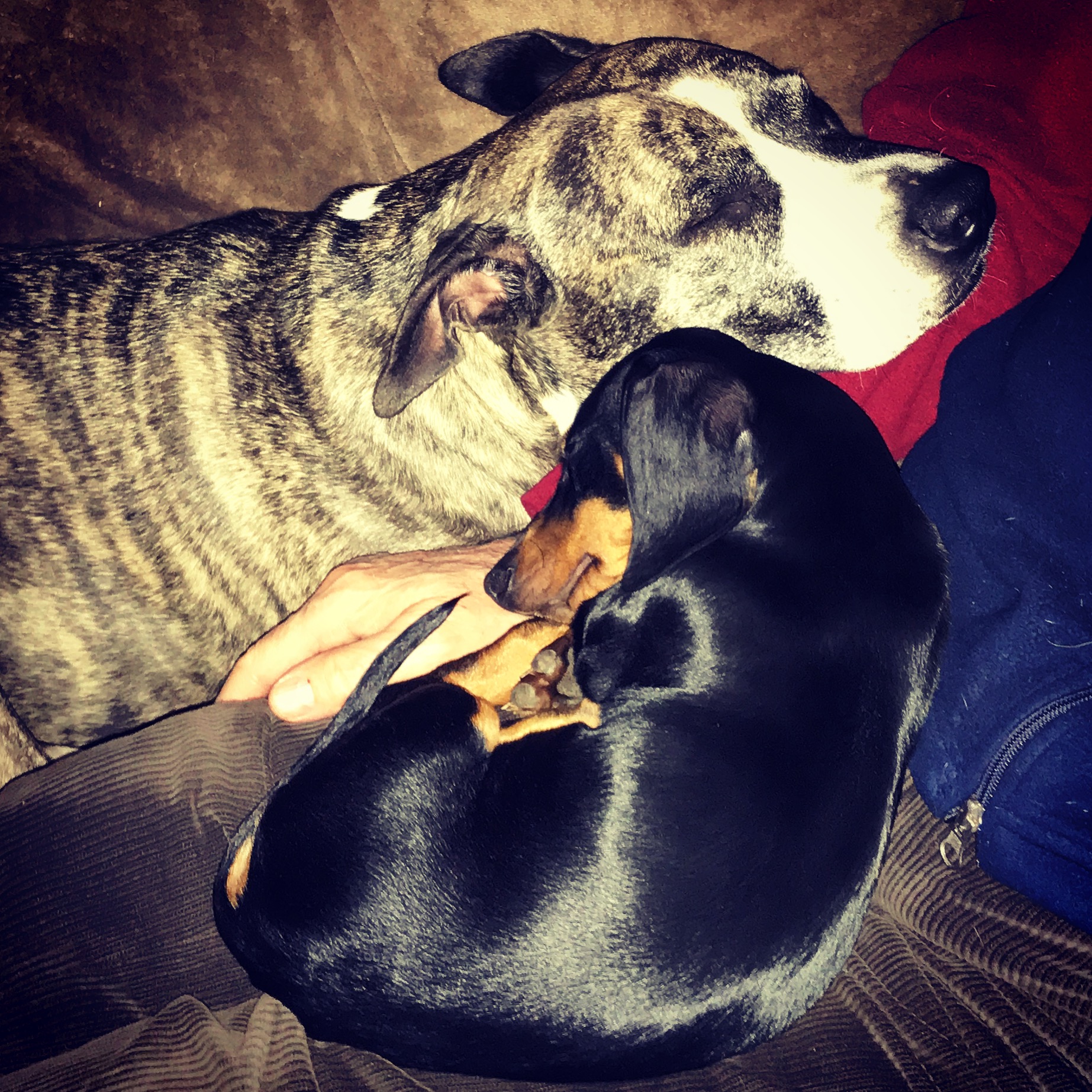 Sleeeeeeeping togheter;)