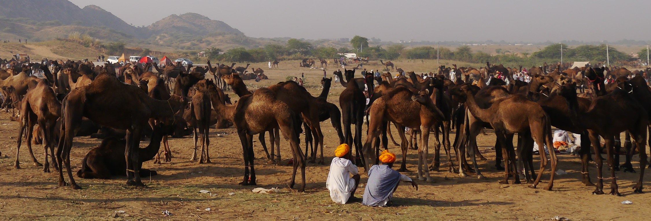 At the borders of the Thar