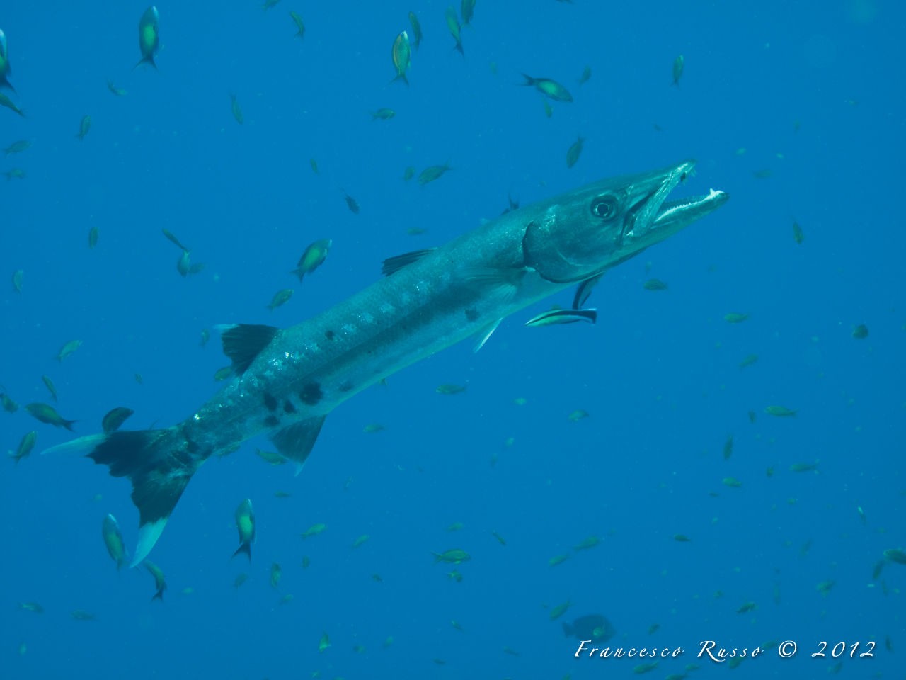 in the cleaning station