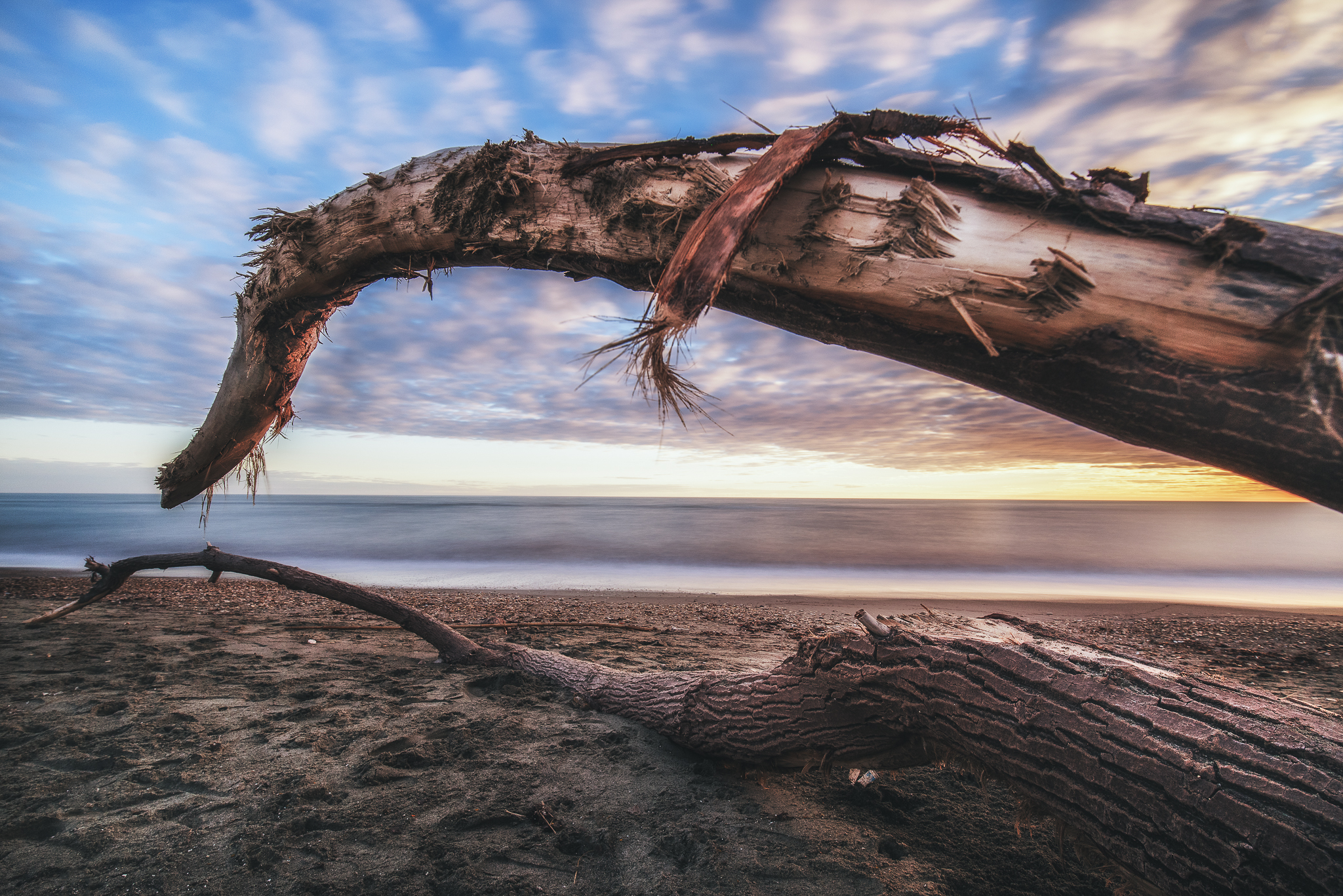 Cloudy sunset - Trunk