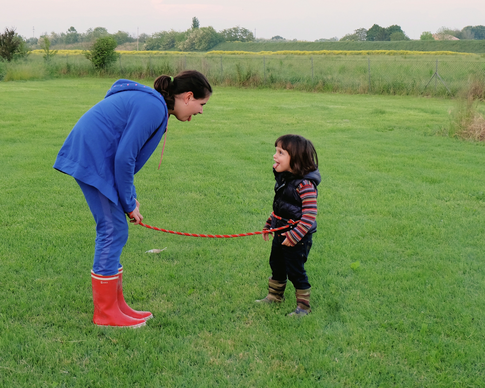 Prove di domesticazione