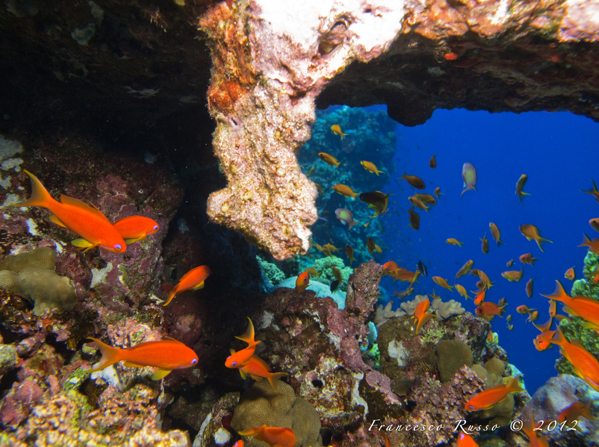 Finestra sul profondo blu