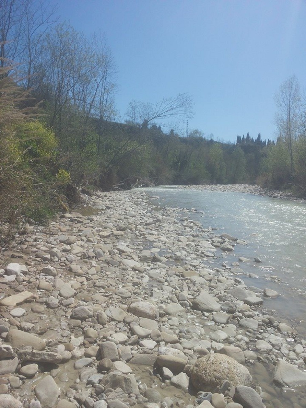 Our river ... the Fino