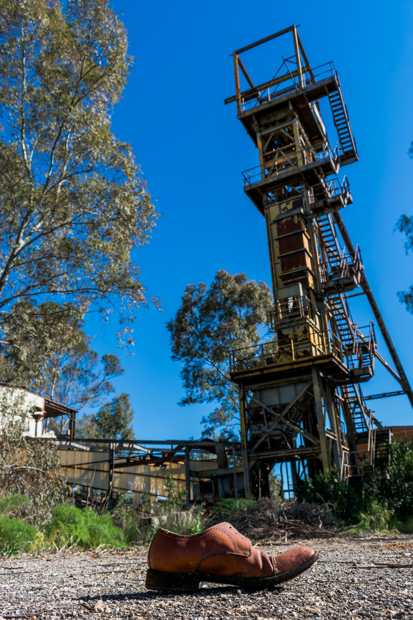 A Portrait from the Past