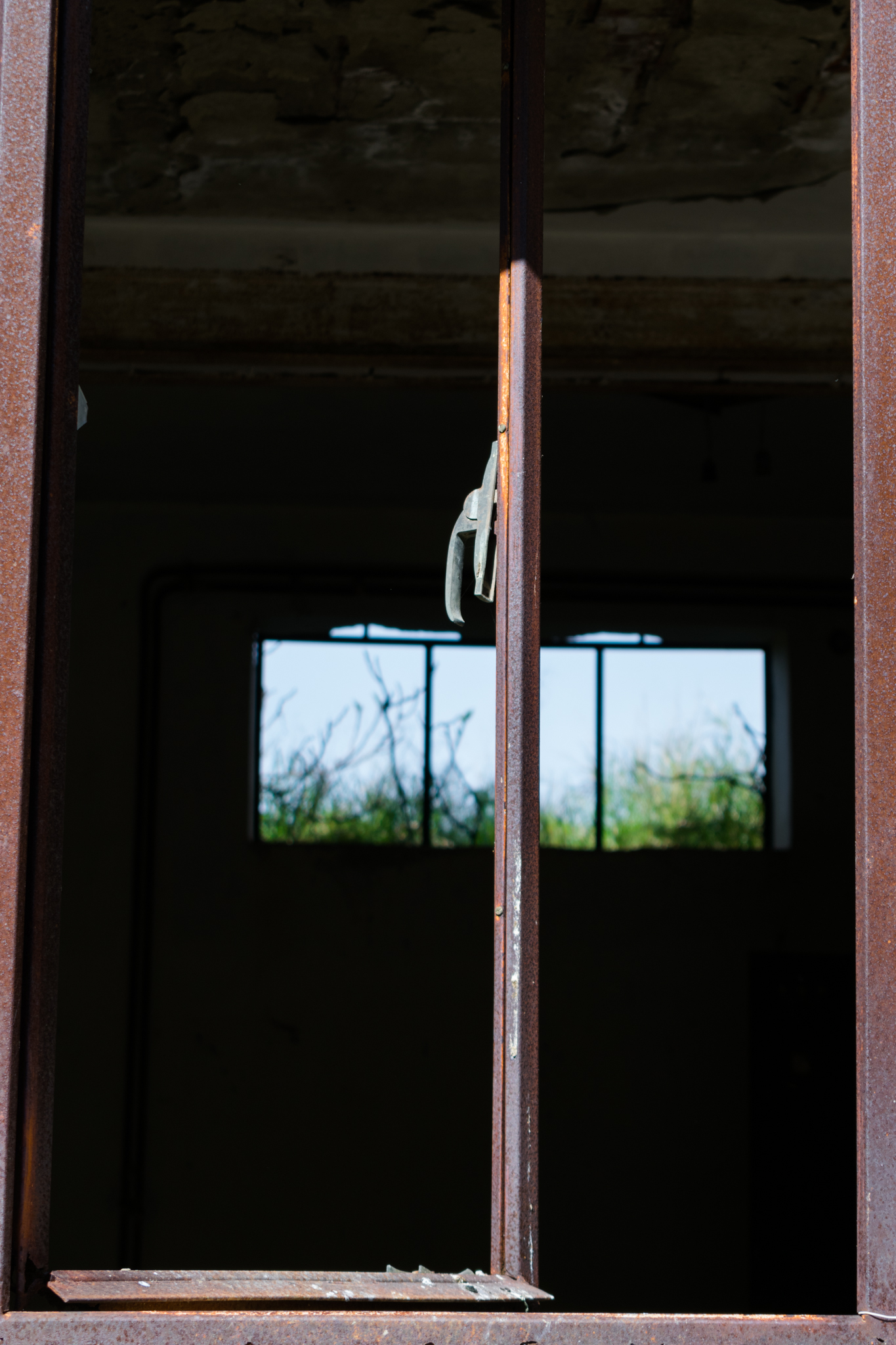 A Window on the World