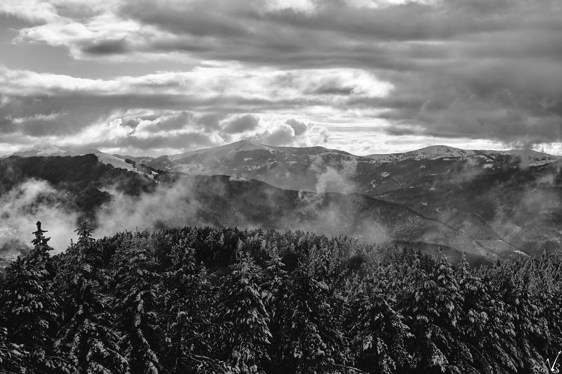 View from Mt. Penice