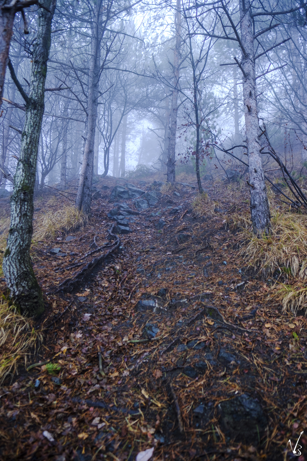 Towards the Parcellara Stone