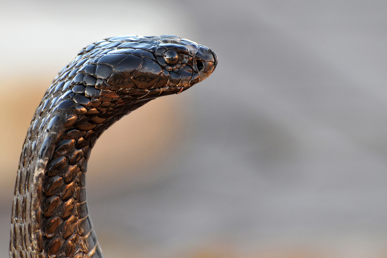 "les sens de marrakech"