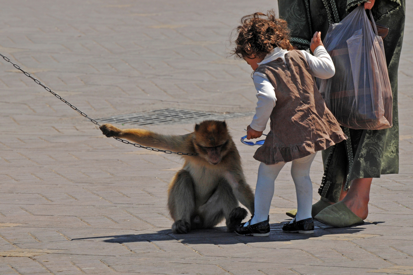 "les sens de marrakech"