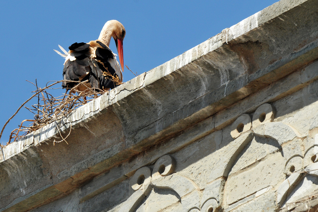 "les sens de marrakech"