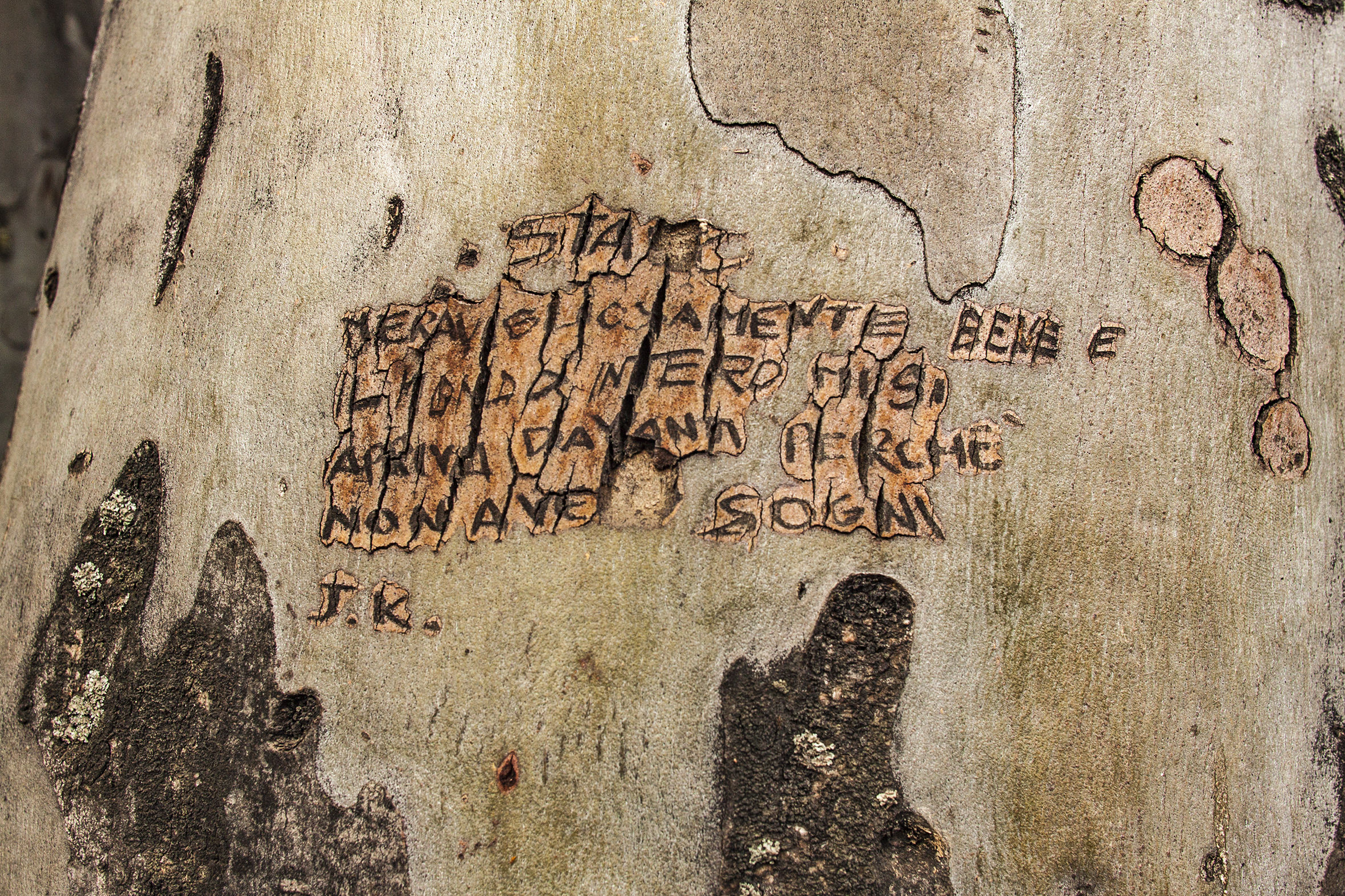 Written on tree