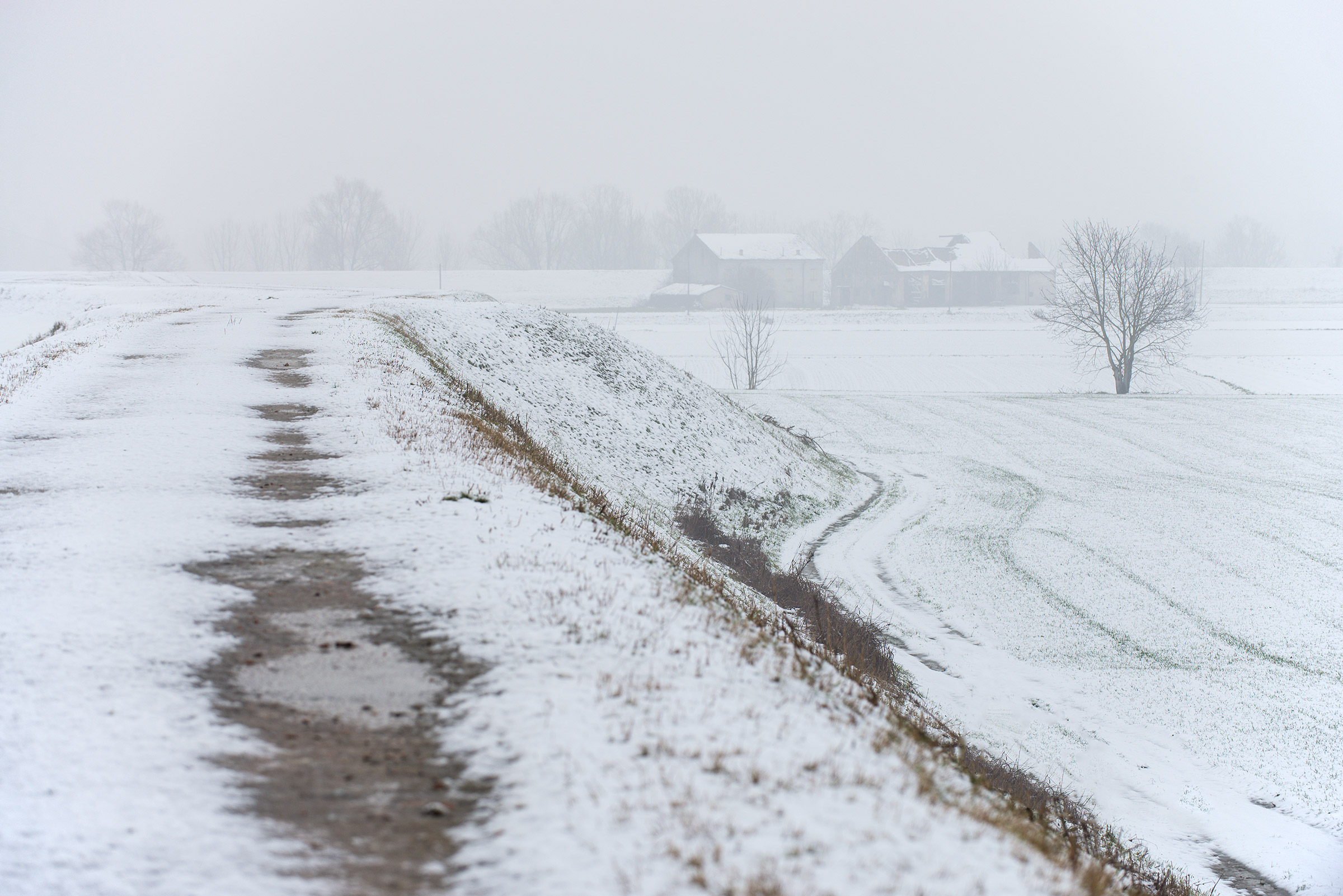 Po Valley sensations: Snow in the flood plains