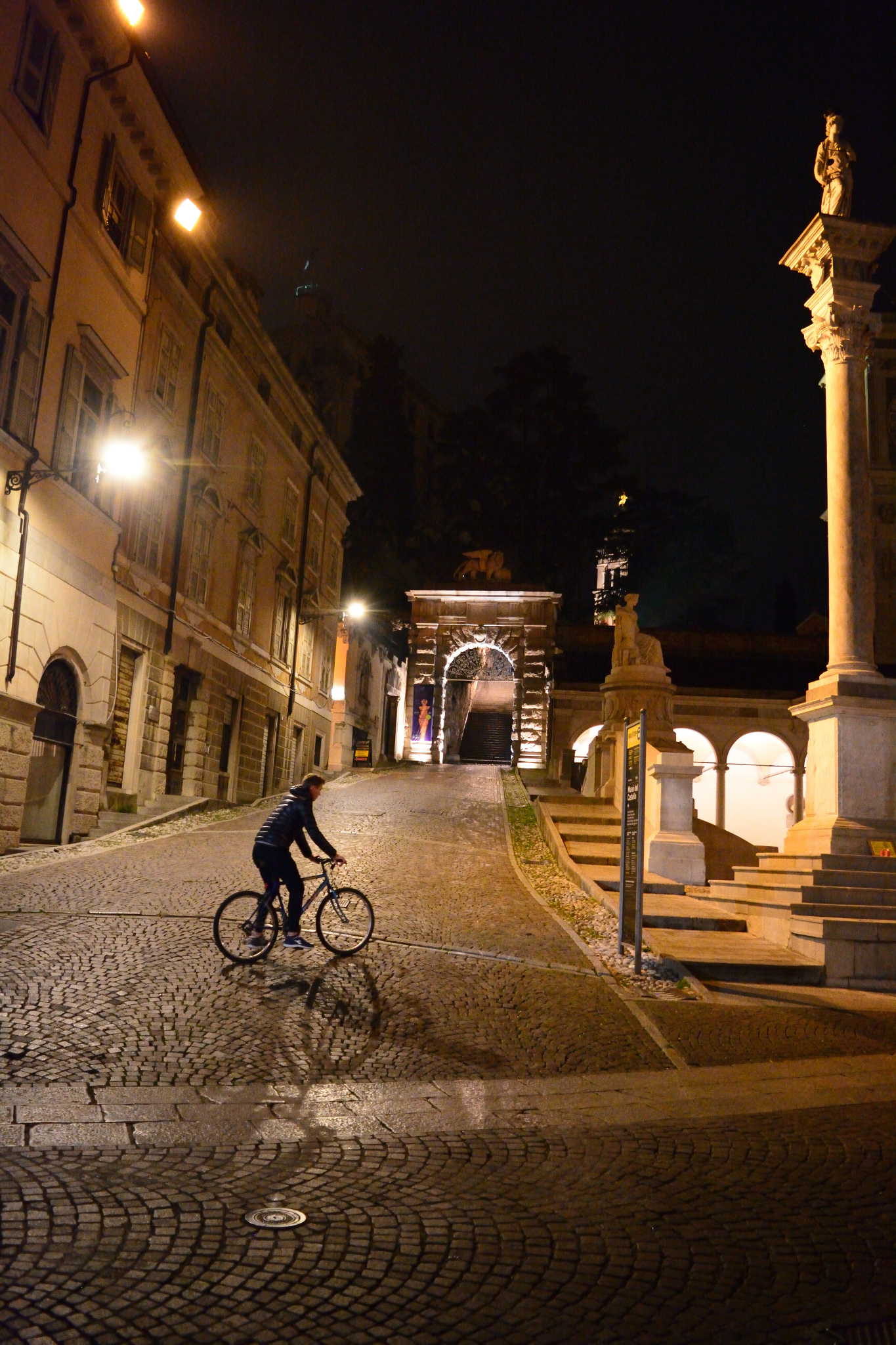 Light and dark cycle