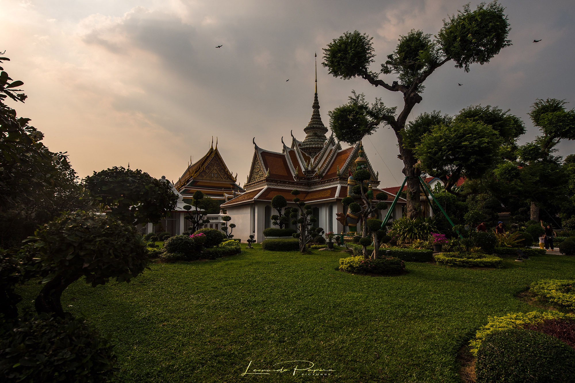 Il Potere della Pace