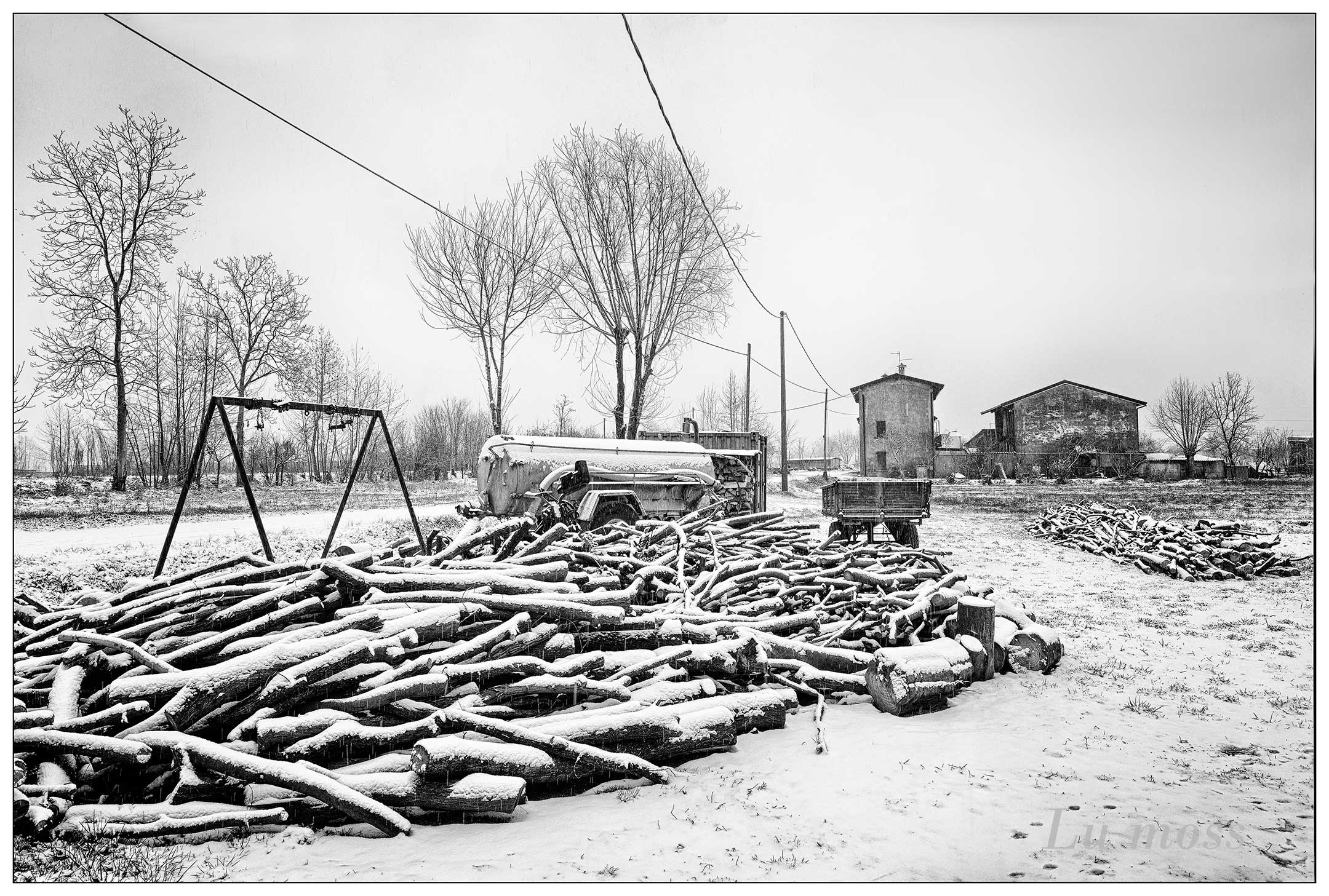 In the snow everything is resting.