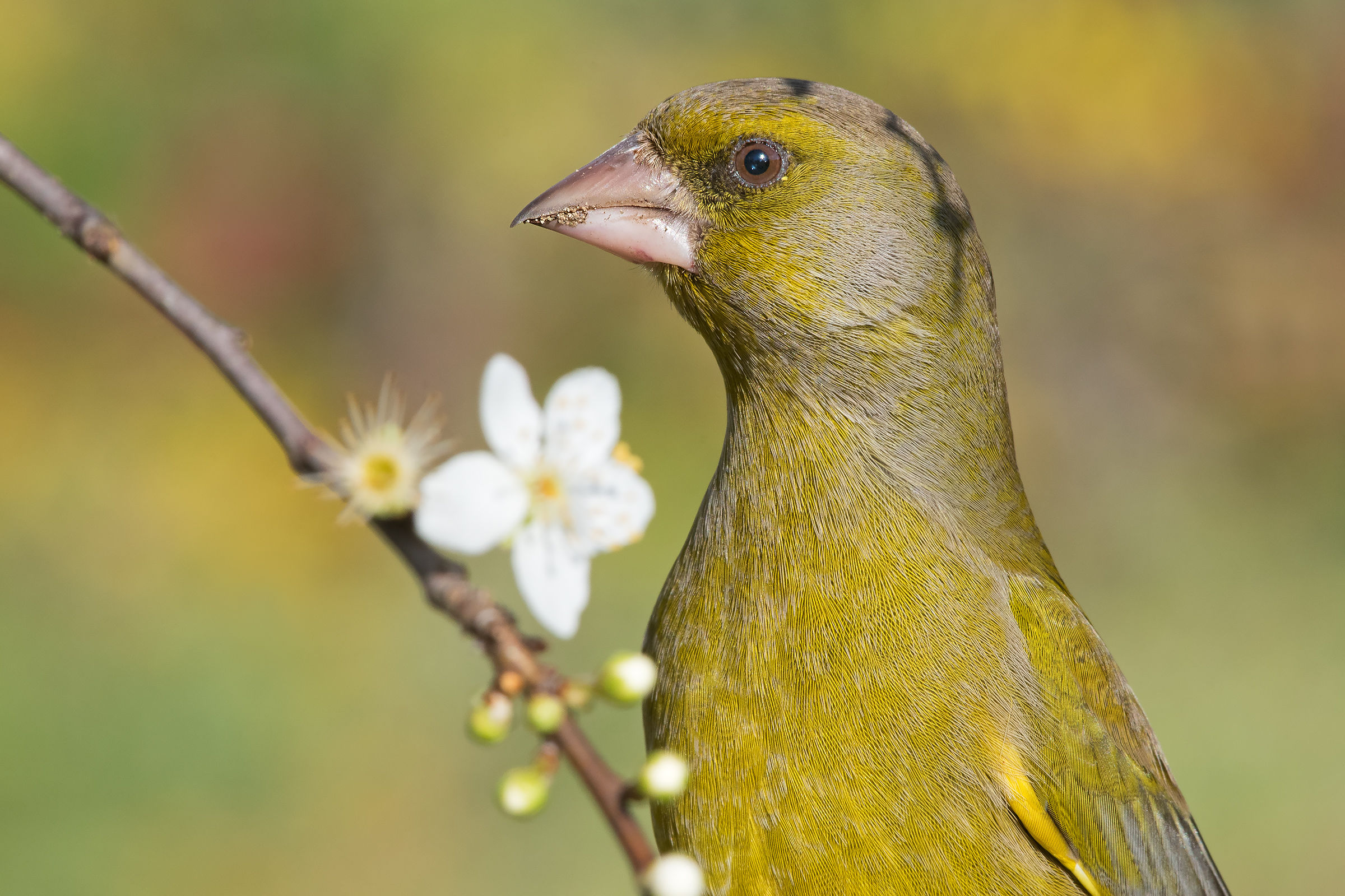 And yet it seems like spring