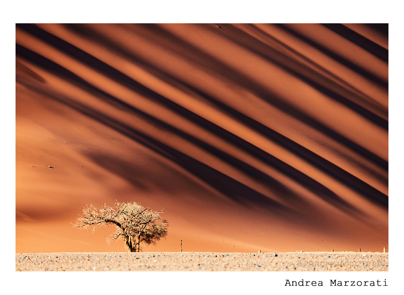 Namib