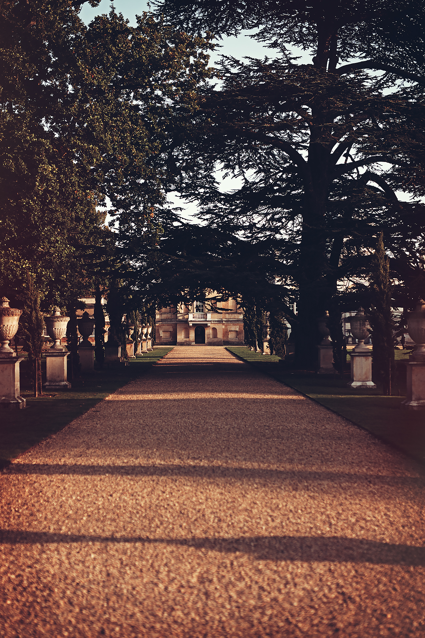 Yet Again Walking Alone