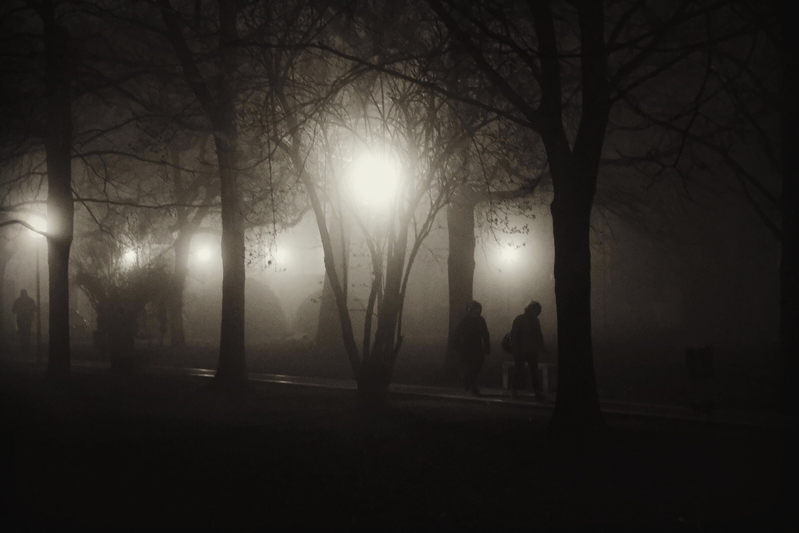 The fog between the street lamps